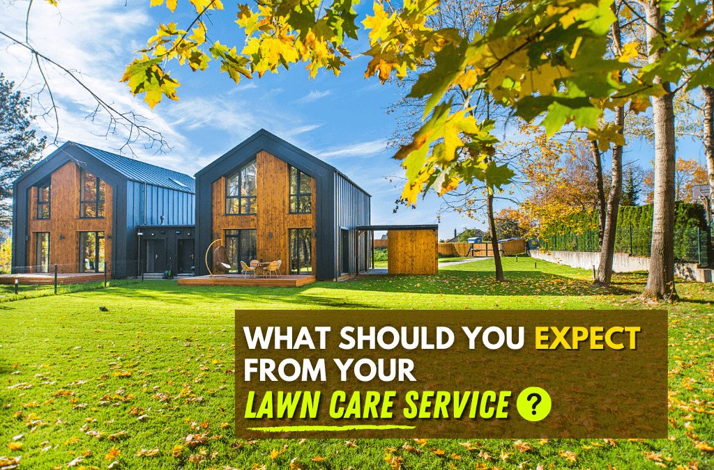 What You Should Expect from Your Lawn Service