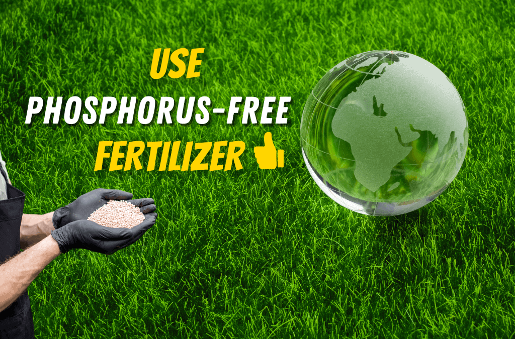 Why Phosphorus Has Been Banned In Turf Fertilizers | ExperiGreen