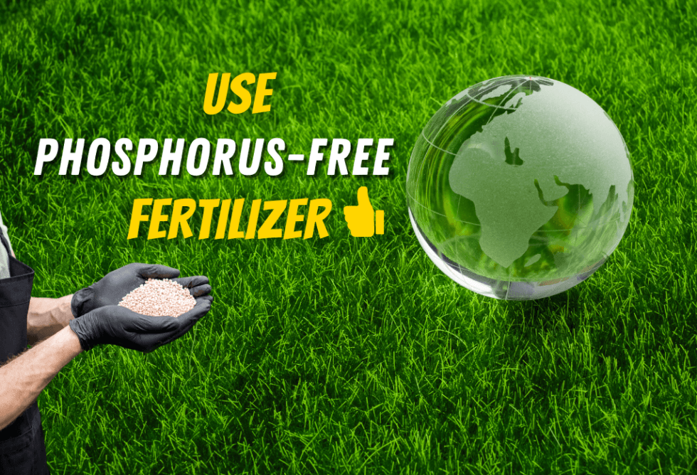 Why Phosphorus Has Been Banned In Turf Fertilizers ExperiGreen