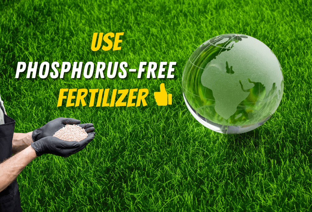 Read more about the article Why Phosphorus Has Been Banned In Turf Fertilizers