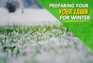 How To Prepare Your Lawn The For Winter Season