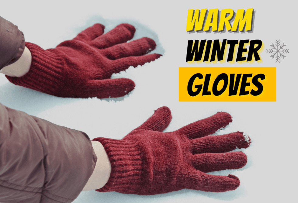 Warmest Winter Gloves ExperiGreen