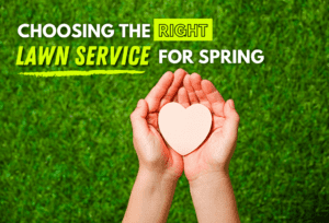 Choosing the Right Lawn Service