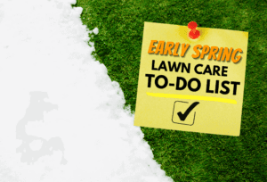 Early Spring Lawn Care To Do List