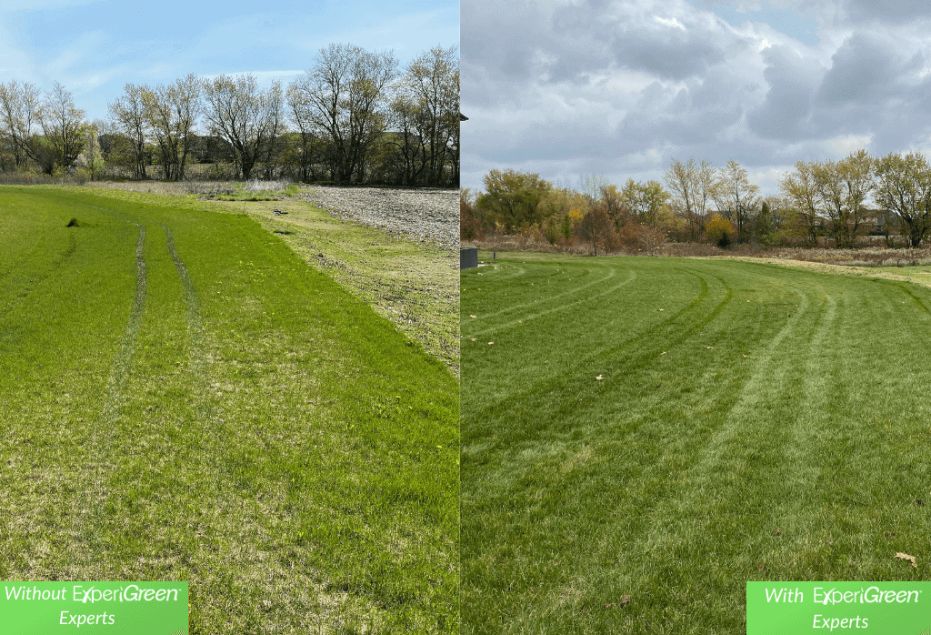 ExperiGreen Lawn Care Chicago IL Before and After