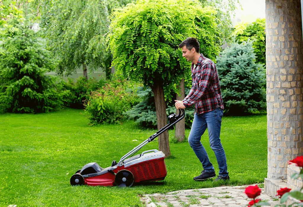 When Should You Mow Your Lawn in Spring