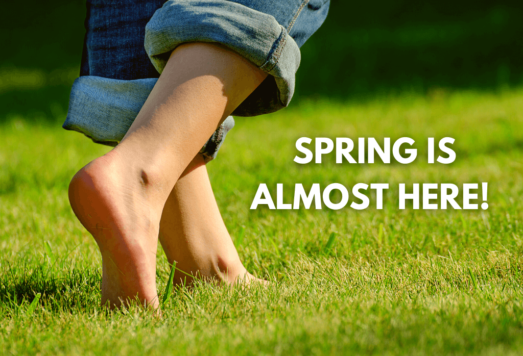 When Should You Start Mowing Your Lawn in the Spring