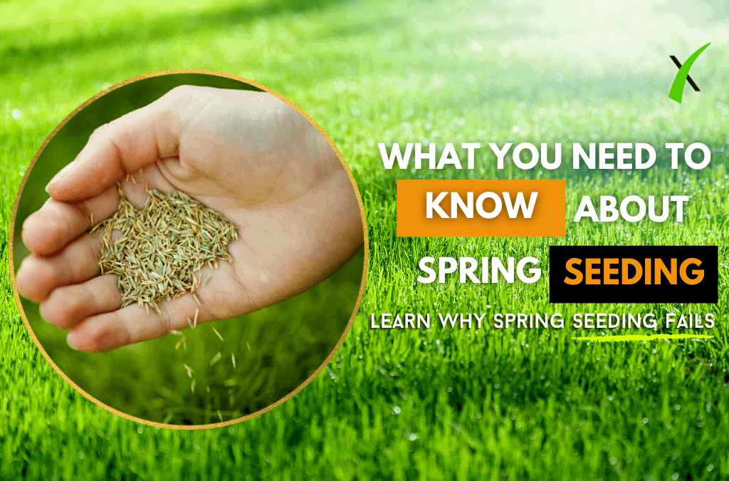 Why Spring Seeding Fails