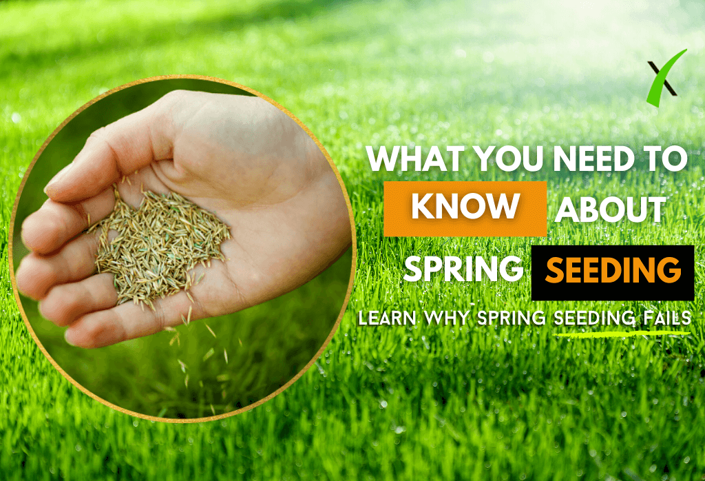 Read more about the article Why Spring Seeding Fails