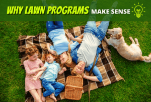 Reasons Why Lawn Programs Make Sense