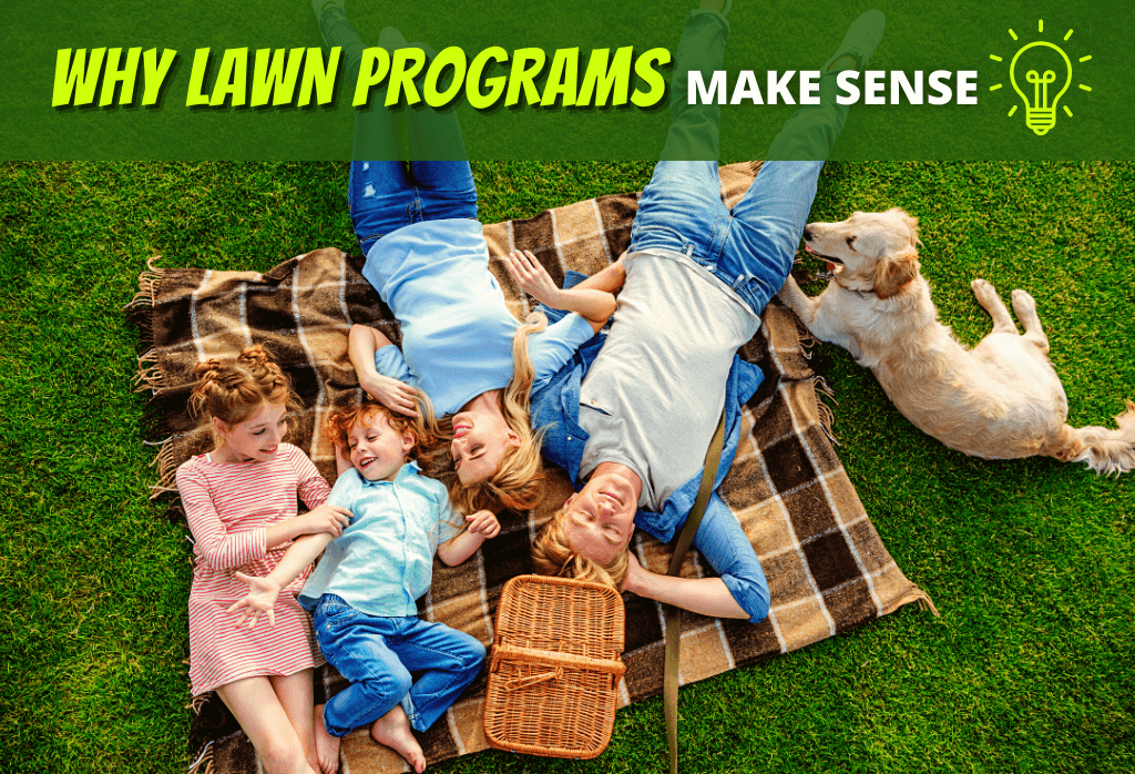 Read more about the article Lawn Programs Make Sense