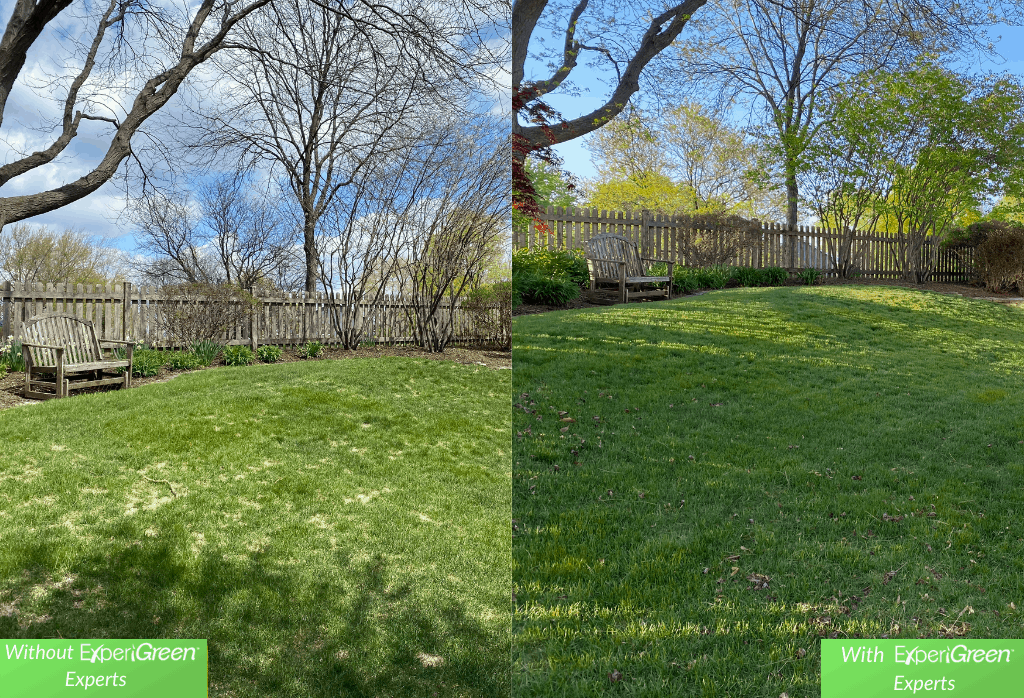 Before & After ExperiGreen Lawn Care Services - Chicago IL