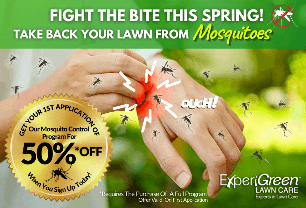Outdoor Mosquito Control ExperiGreen