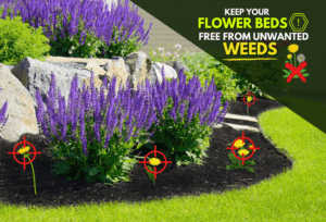 Flower Bed Weed Control By ExperiGreen