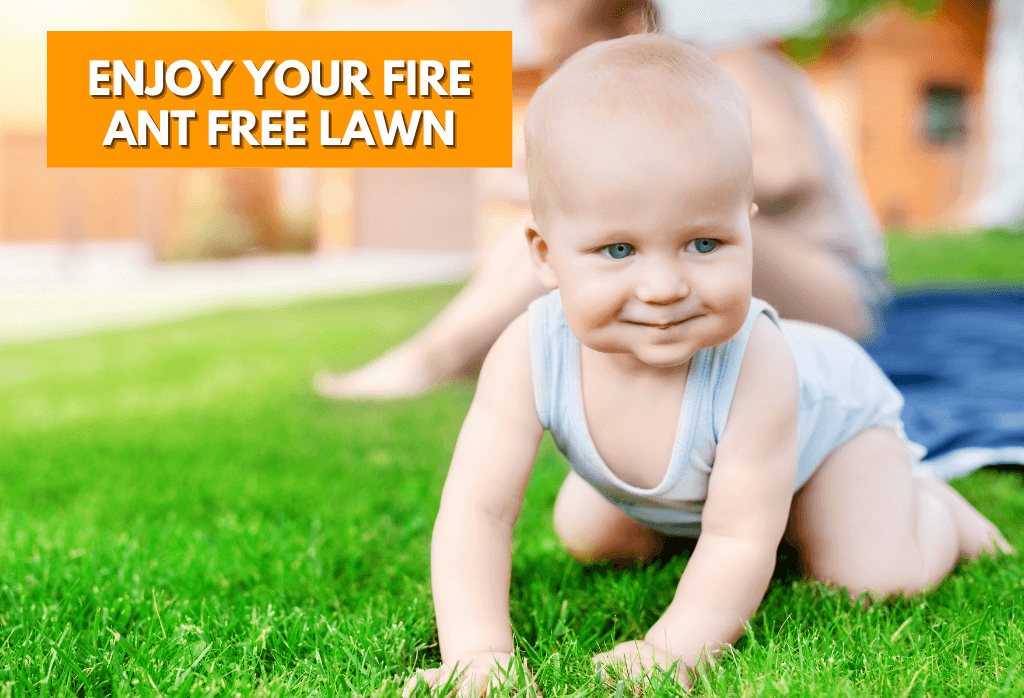 Lawn Fire Ant Control