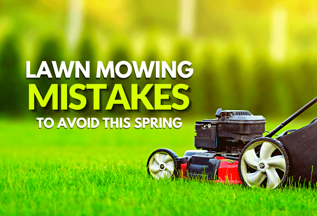 Read more about the article Lawn Mowing Mistakes