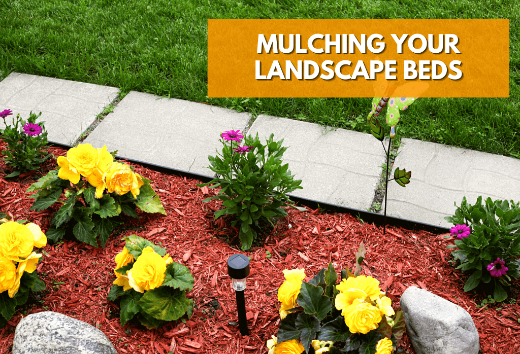 Mulching Your Landscape Beds For Weed Control