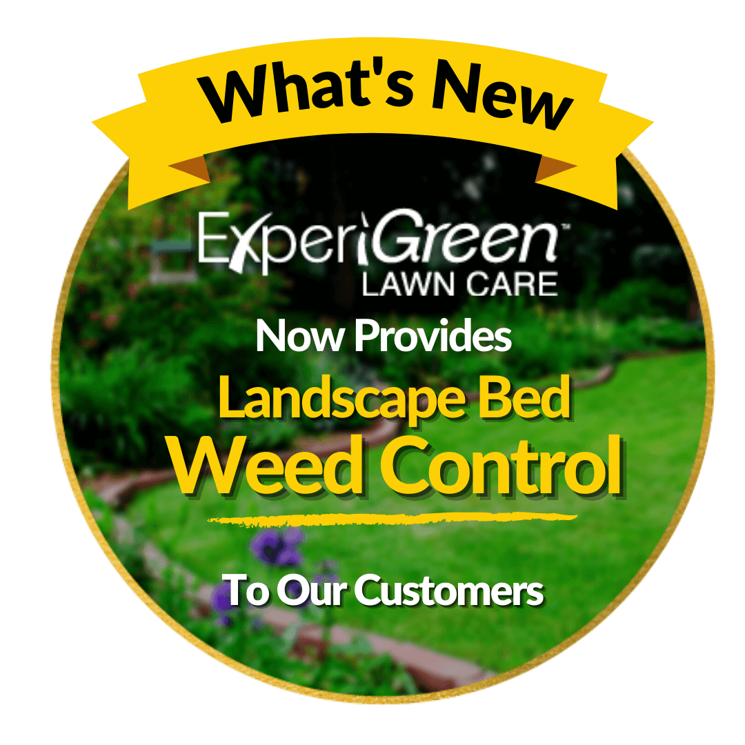 Now Introducing Landscape Bed Weed Control