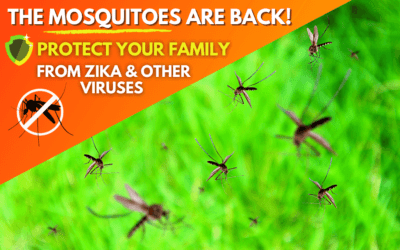 Outdoor Mosquito Control