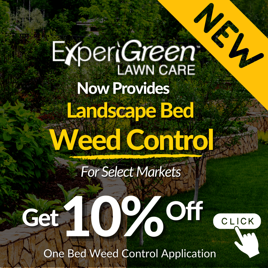 Landscape Bed Weed Control Offer