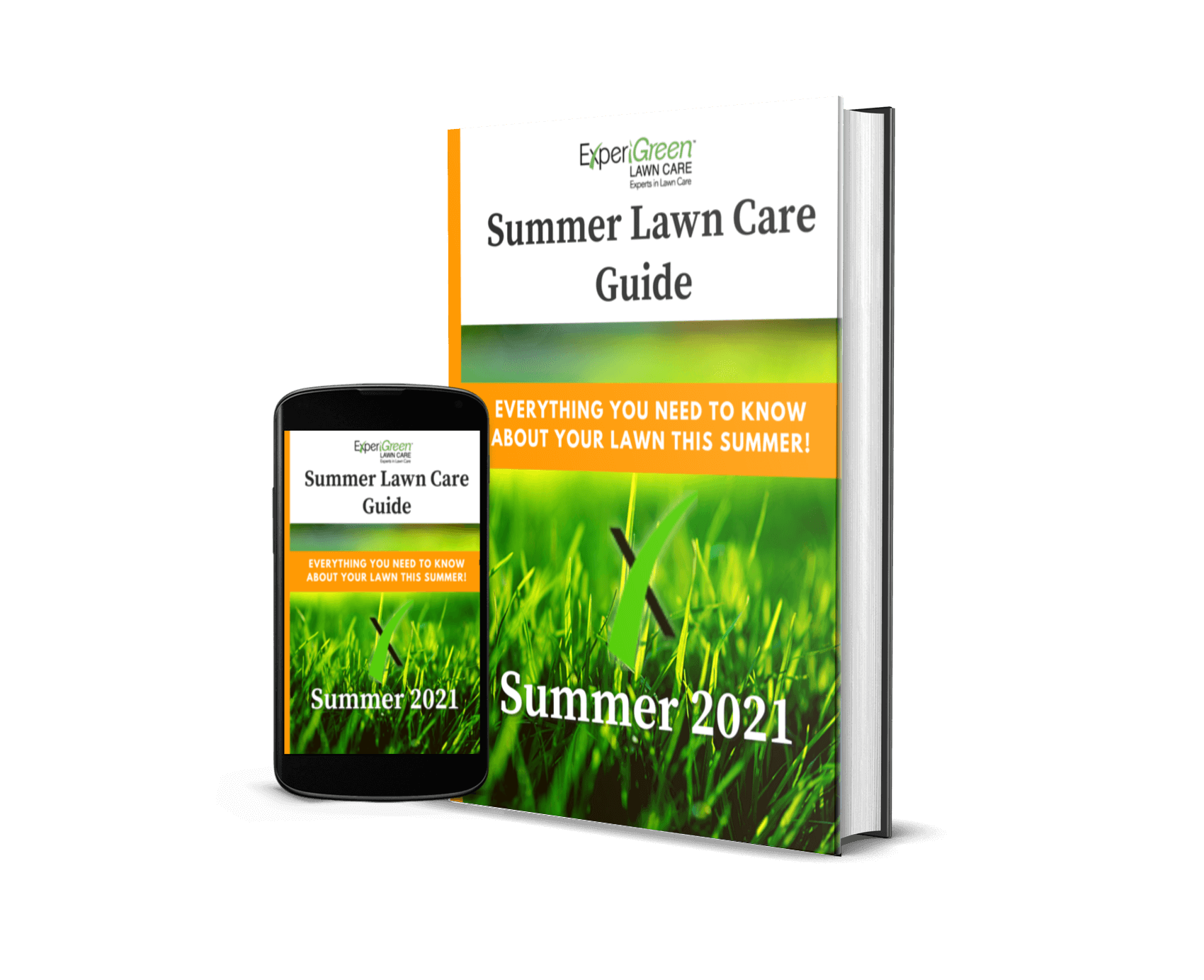 Summer Lawn Care E-book Free Download Summer Lawn Care E-book Free Download