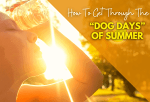 How to Get Through The Dog Days Of Summer -ExperiGreen