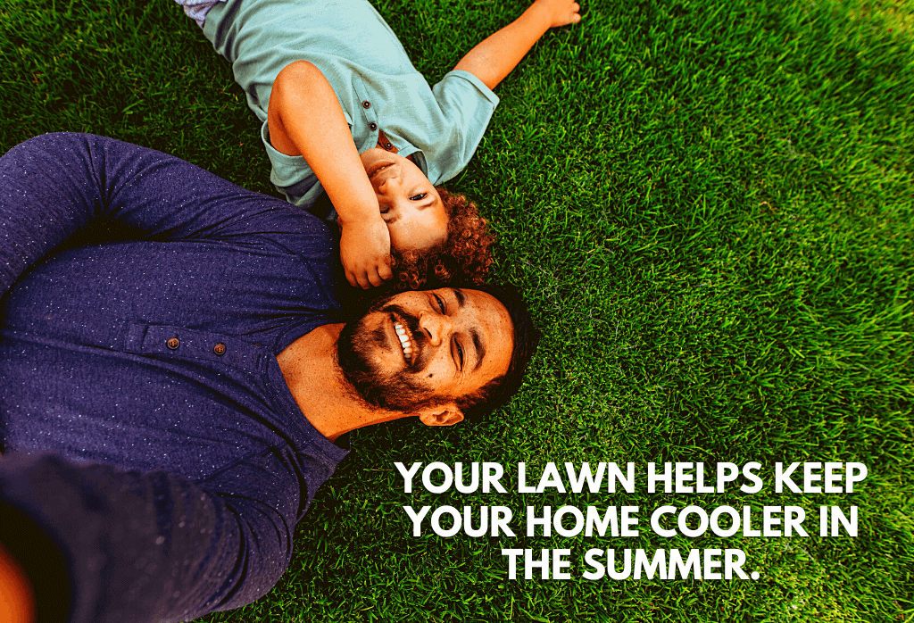 Lawn helps keep your home cooler in the summer.