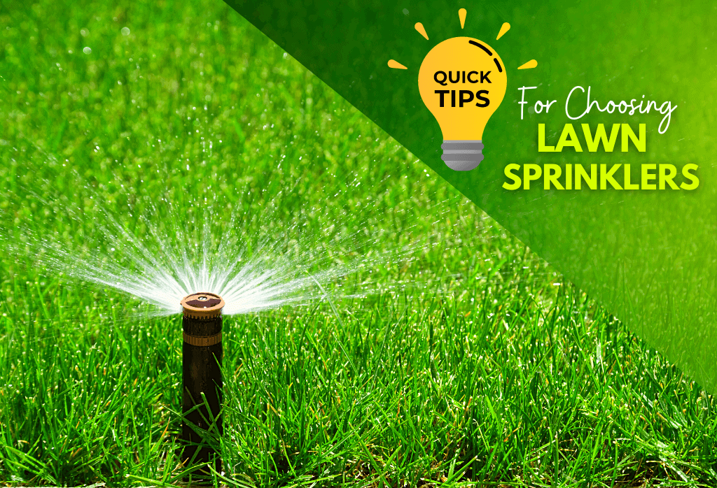 Read more about the article Choosing A Lawn Sprinkler
