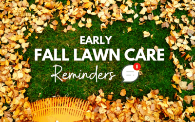 Early Fall Lawn Care Reminders