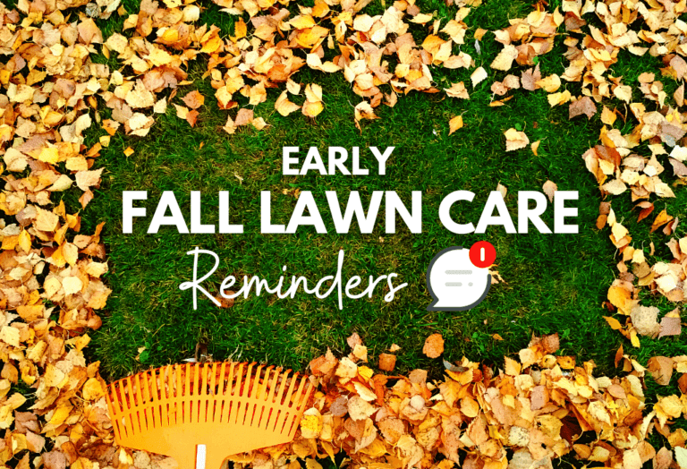 Early Fall Lawn Care Reminders ExperiGreen