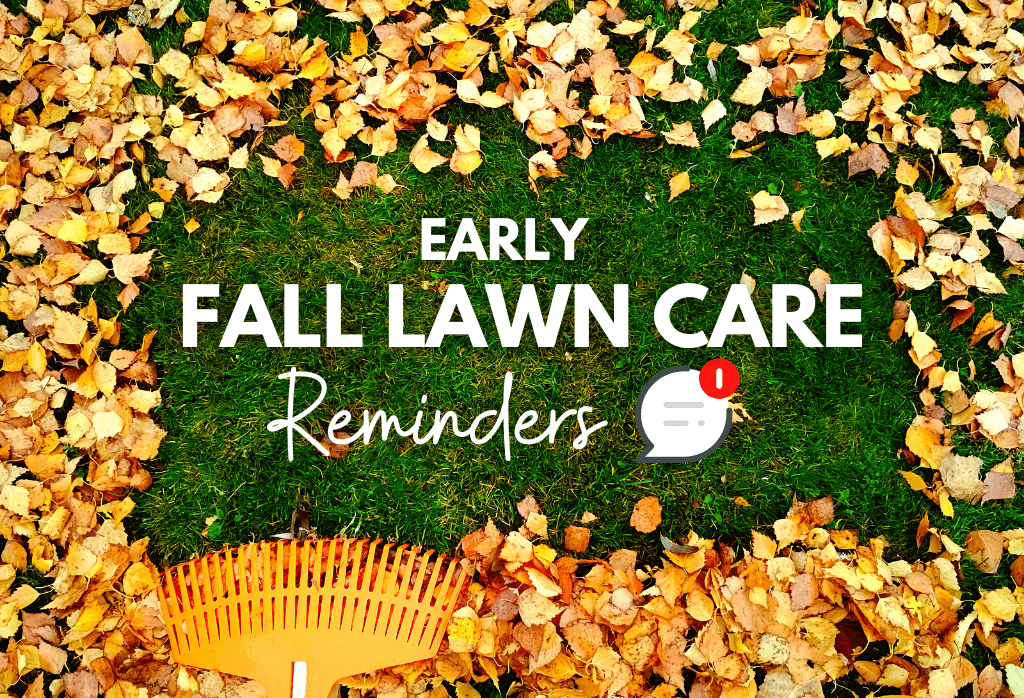 Read more about the article Early Fall Lawn Care Reminders