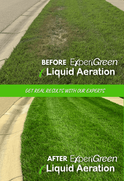 ExperiGreen Liquid Aeration Lawn Results