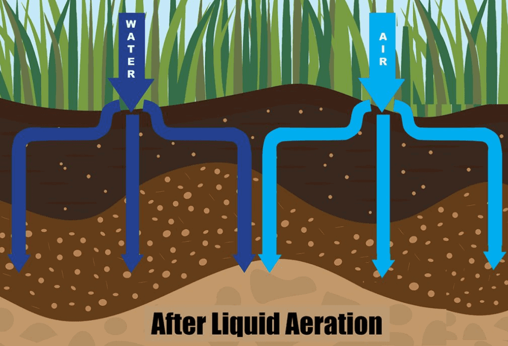 Liquid Aeration Process
