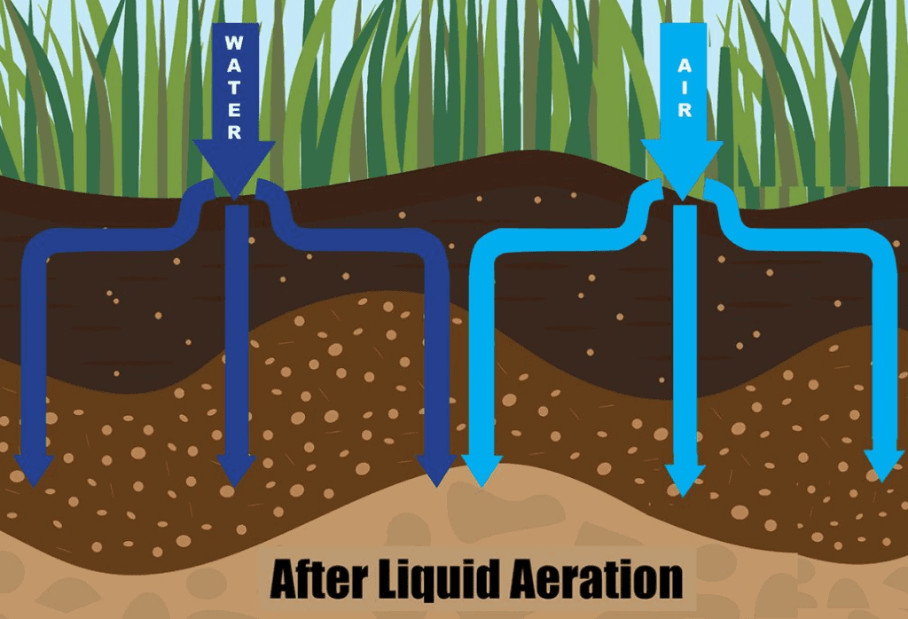 Fall Liquid Aeration And Seeding Experigreen Fall Liquid Aeration And Seeding Experigreen
