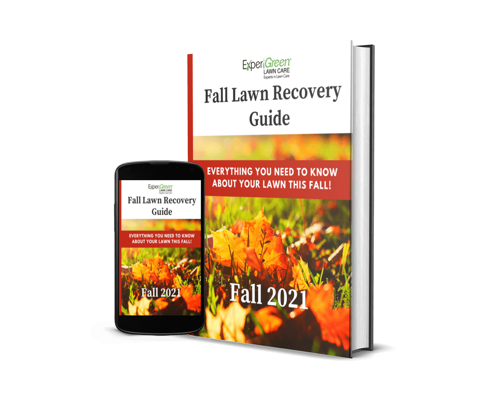 Download ExperiGreen's Fall Recovery Guide For Free Download ExperiGreen's Fall Recovery Guide For Free