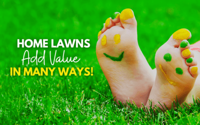 Why Home Lawns Add Value In Many Ways
