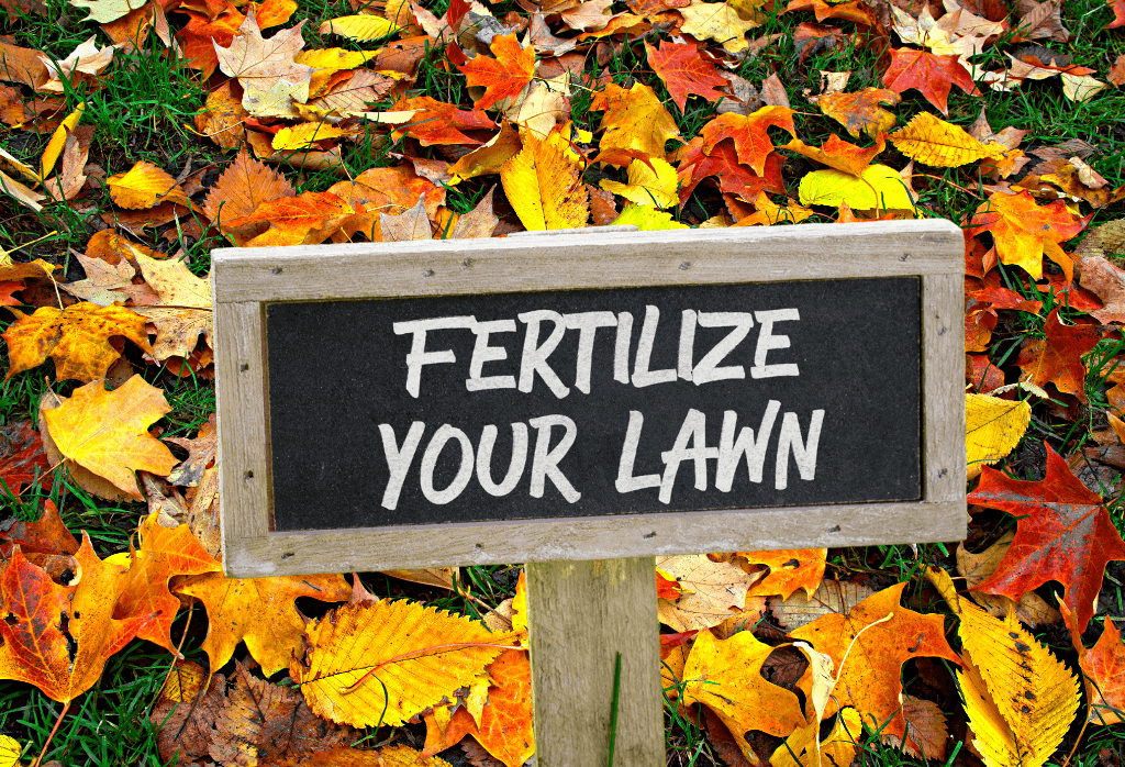 Fertilize Your Lawn This Fall