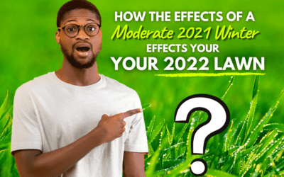 How The Effects of a Moderate 2021 Winter Effects Your 2022 Lawn