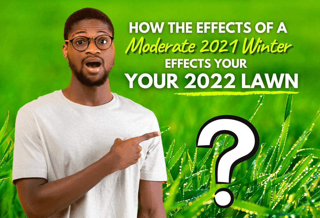 Read more about the article How a Moderate 2021 Winter Affects Your 2022 Lawn