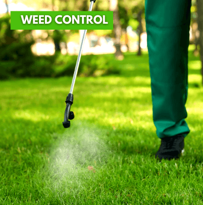 ExperiGreen Weed Control Services