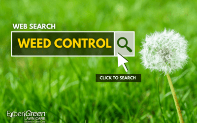 Weed Control 101 ExperiGreen Lawn Care