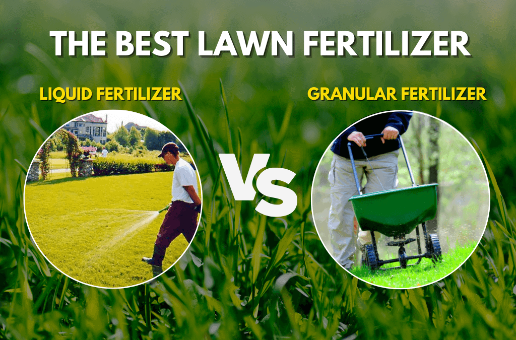 The Best Fertilizer – Liquid or granular