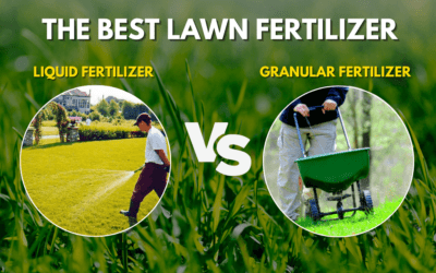 The Best Fertilizer – Liquid or granular