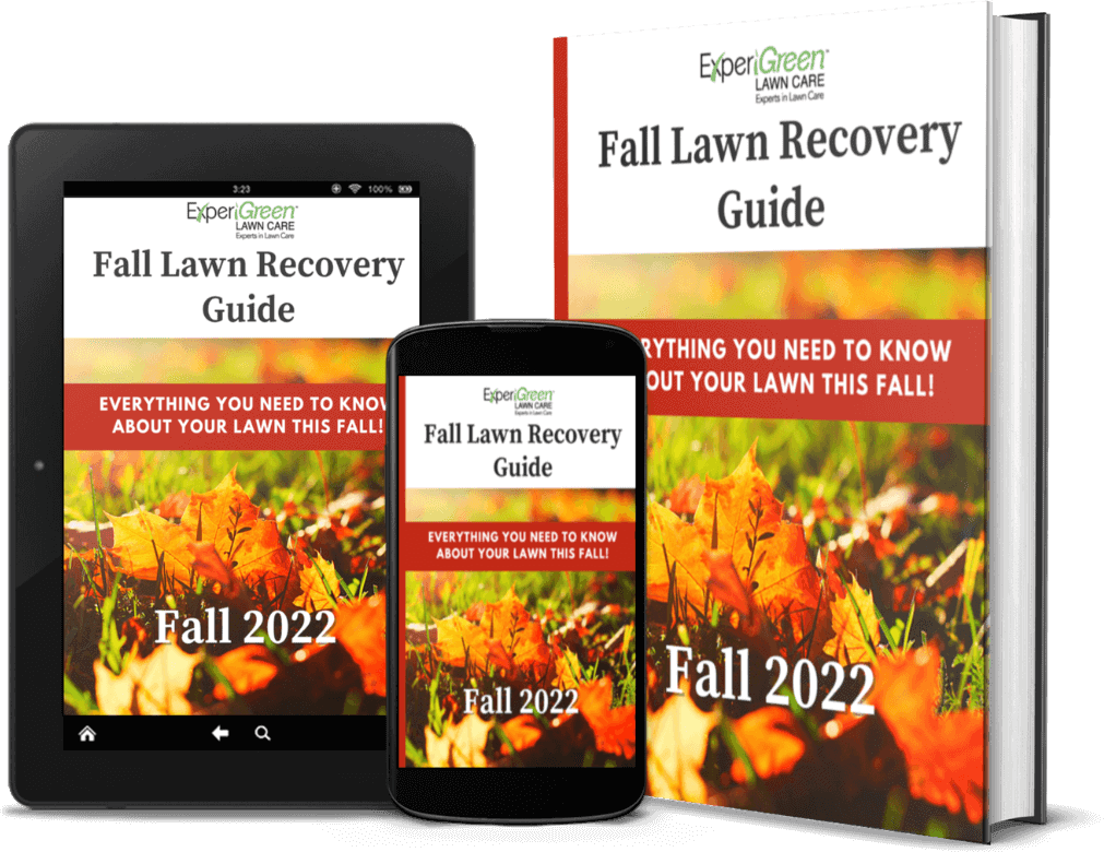 ExperiGreen Fall Lawn Recovery Guide 2022