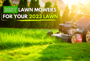 Best Lawn Mowers For Your 2023 Lawn