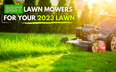 Best Lawn Mowers For Your 2023 Lawn