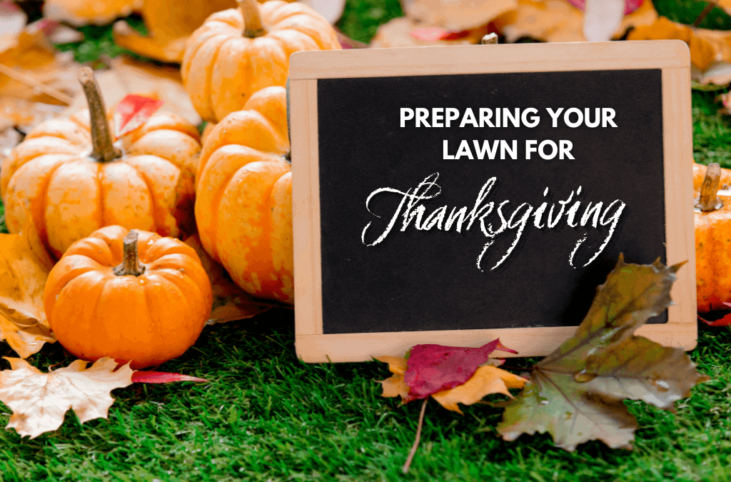 Preparing Your Lawn for Thanksgiving