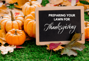Preparing Your Lawn for Thanksgiving 2022