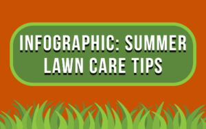 Infographic: Summer Lawn Care Tips