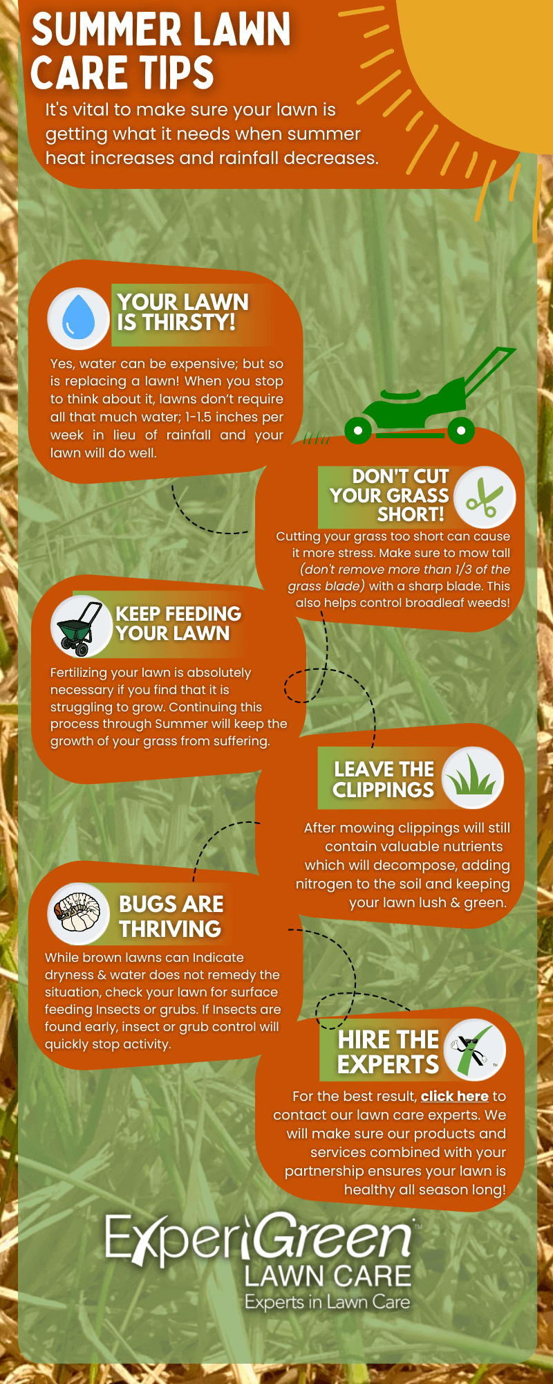 Summer Lawn Care Tips Infographic